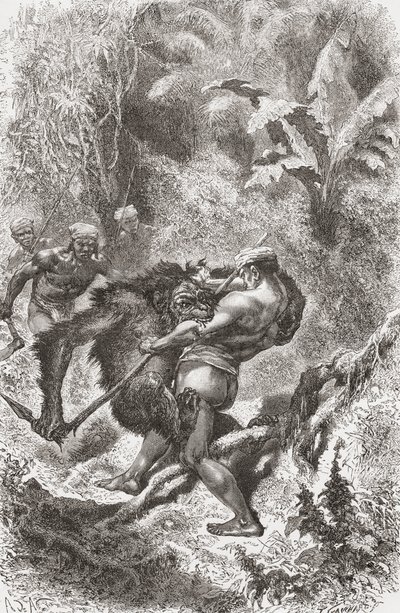 A Dayak native from Borneo fighting with an orangutan, from 